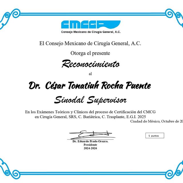 Ampliar imagen: certificate 94