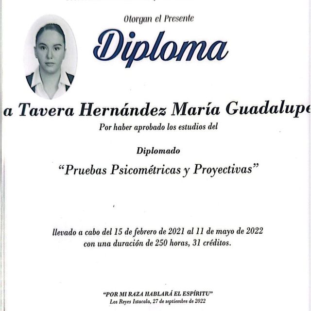 Ampliar imagen: certificate 114