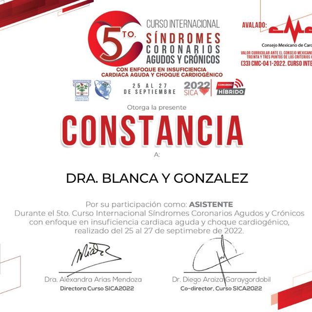 Ampliar imagen: certificate 3