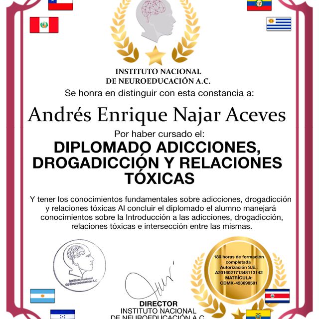 Ampliar imagen: certificate 2