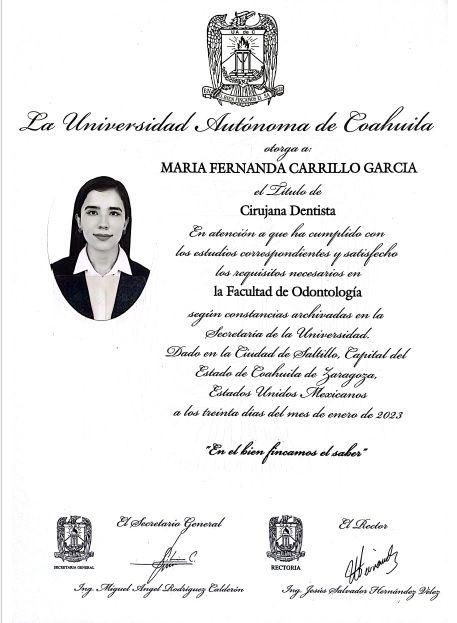 Ampliar imagen: certificate 4