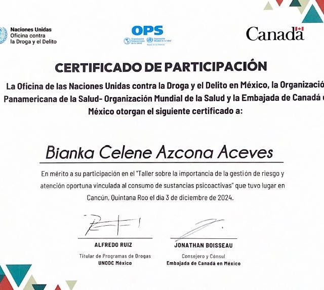 Ampliar imagen: certificate 10
