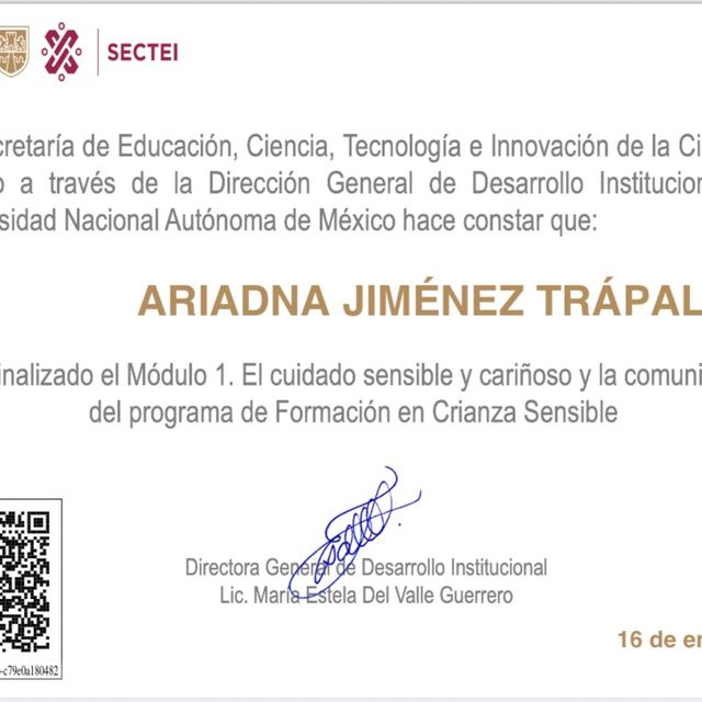 Ampliar imagen: certificate 13