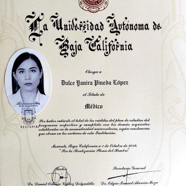 Ampliar imagen: certificate 3