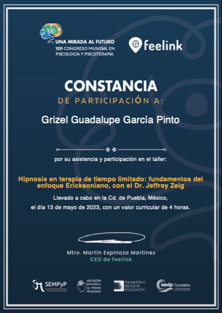 Ampliar imagen: certificate 3