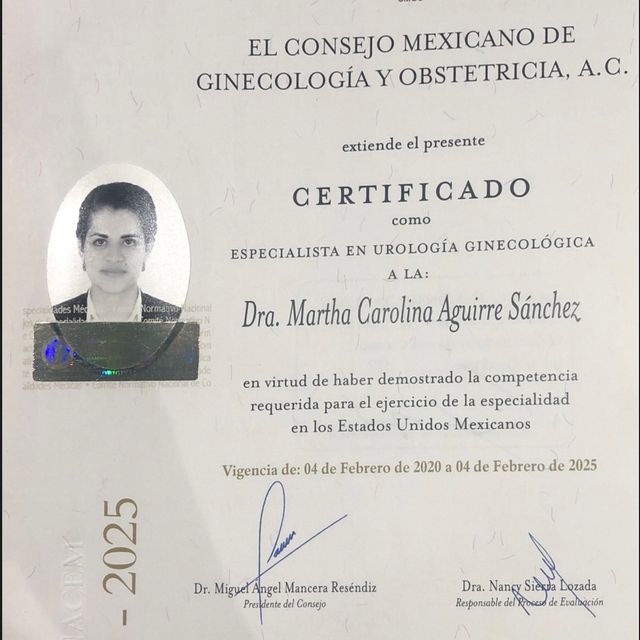 Ampliar imagen: certificate 8