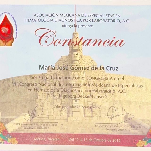 Ampliar imagen: certificate 10