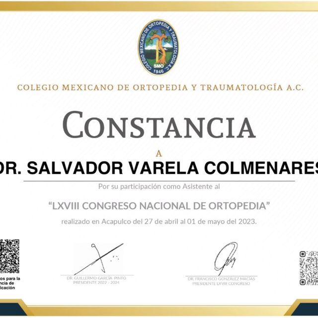 Ampliar imagen: certificate 19