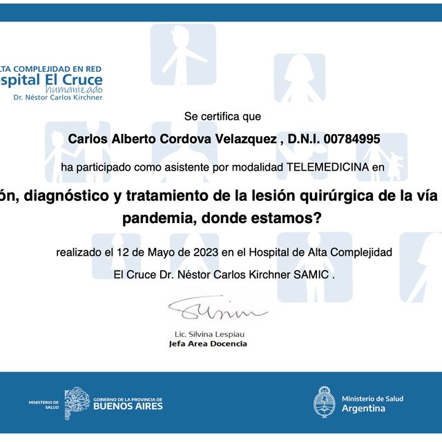 Ampliar imagen: certificate 12