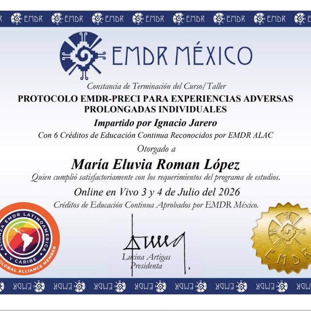 Ampliar imagen: certificate 6