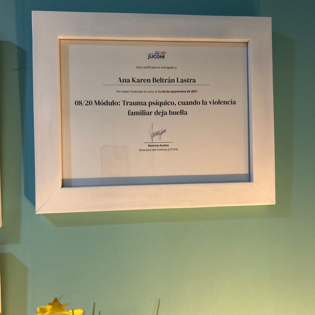 Ampliar imagen: certificate 7