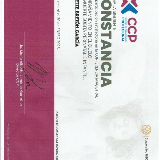 Ampliar imagen: certificate 26