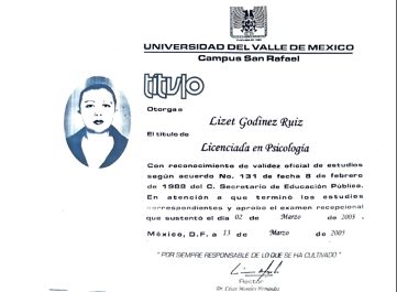 Ampliar imagen: certificate 2
