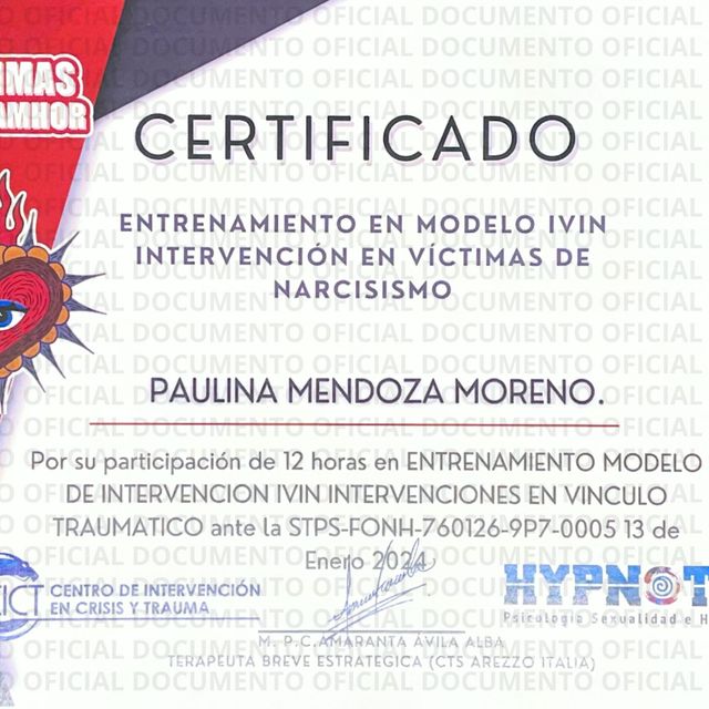 Ampliar imagen: certificate 1