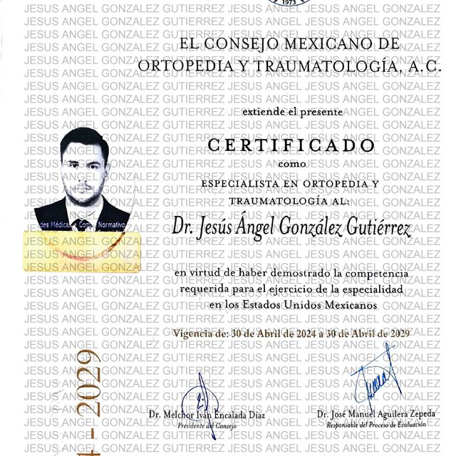 Ampliar imagen: certificate 1