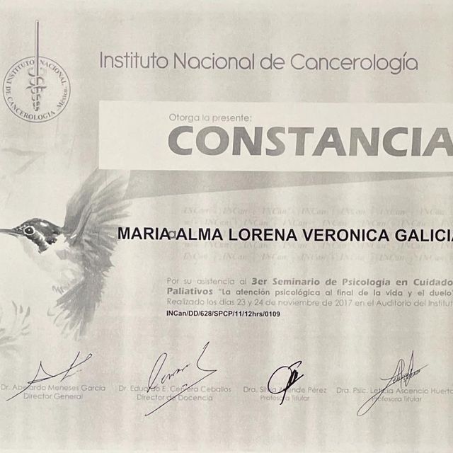 Ampliar imagen: certificate 14