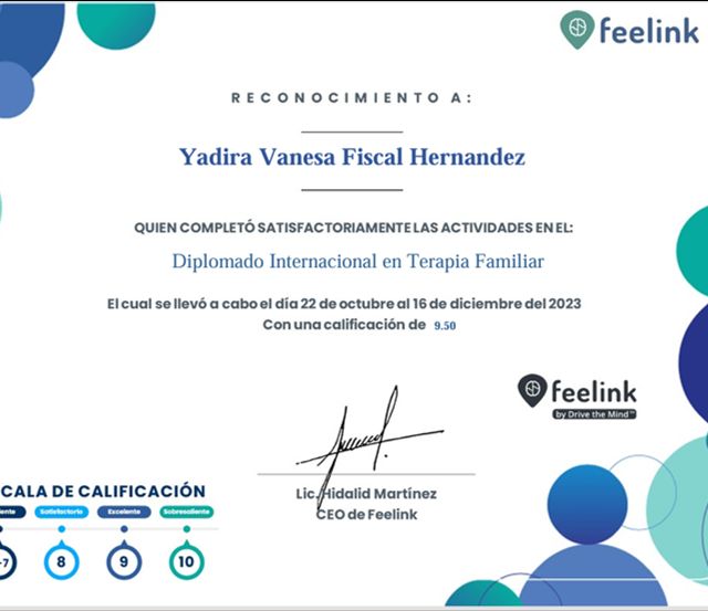 Ampliar imagen: certificate 2