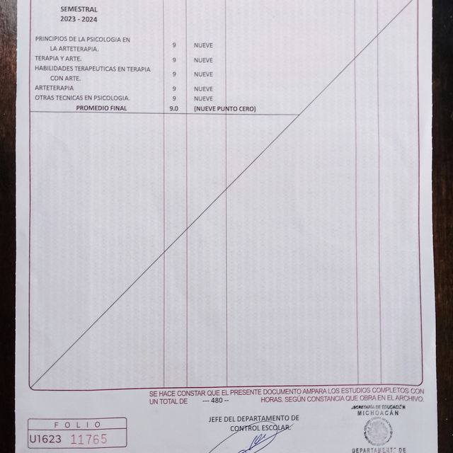 Ampliar imagen: certificate 5