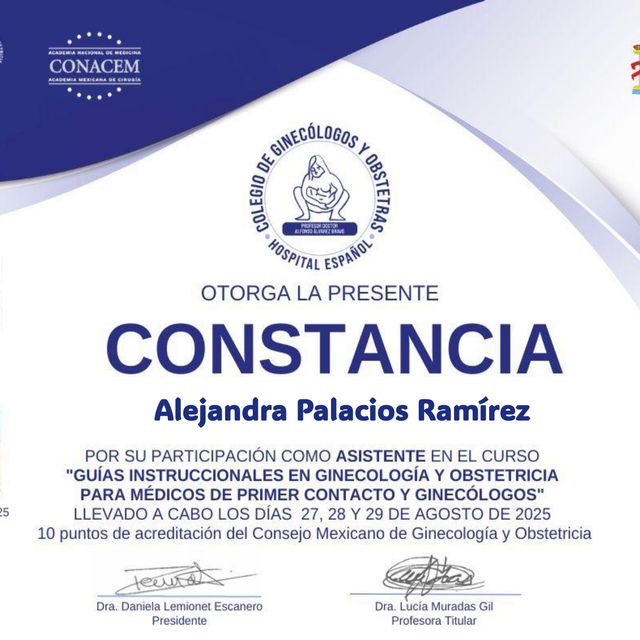 Ampliar imagen: certificate 8