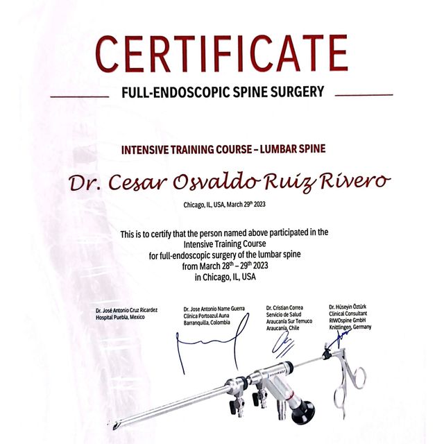 Ampliar imagen: certificate 7