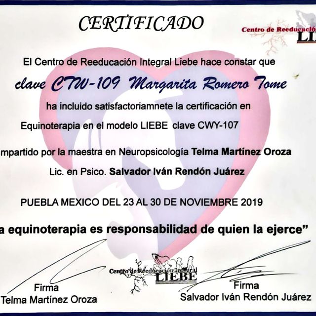 Ampliar imagen: certificate 2