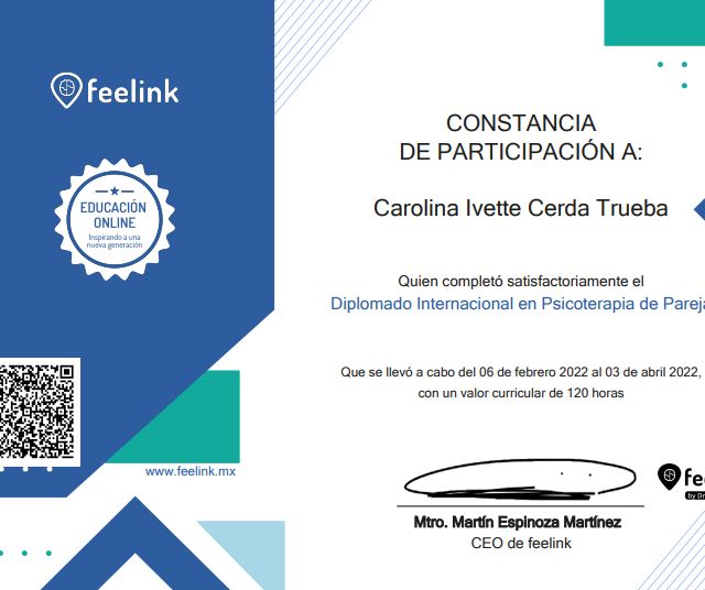 Ampliar imagen: certificate 8