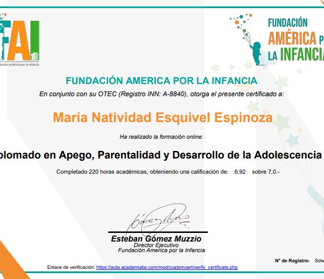 Ampliar imagen: certificate 1