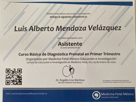 Ampliar imagen: certificate 2