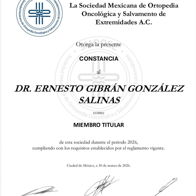 Ampliar imagen: certificate 1