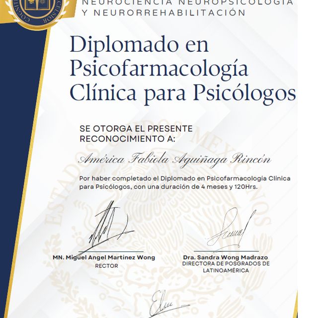 Ampliar imagen: certificate 3