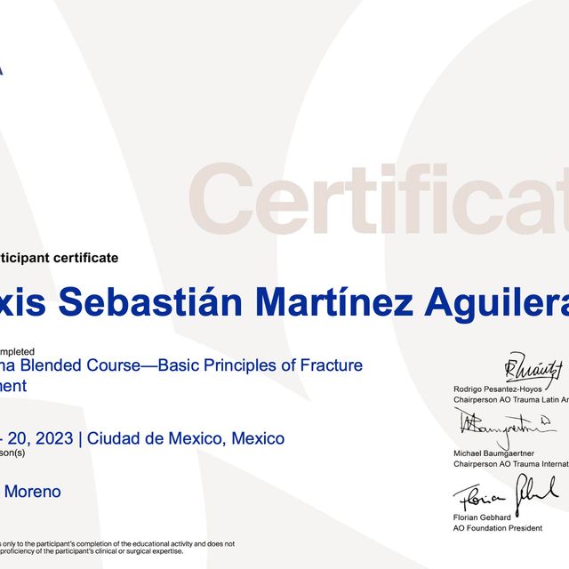Ampliar imagen: certificate 1
