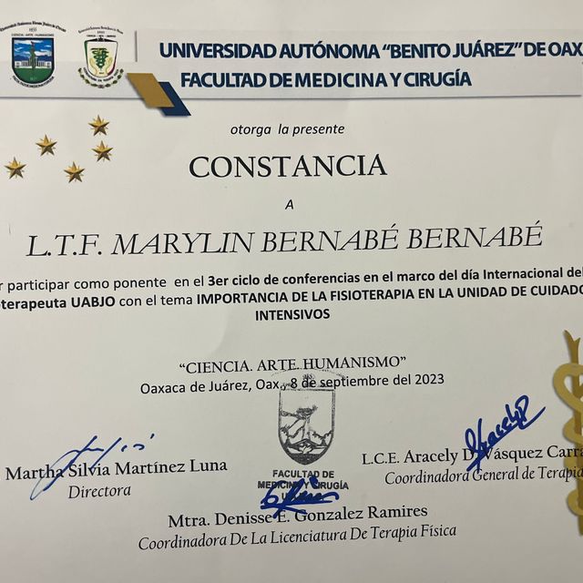 Ampliar imagen: certificate 2