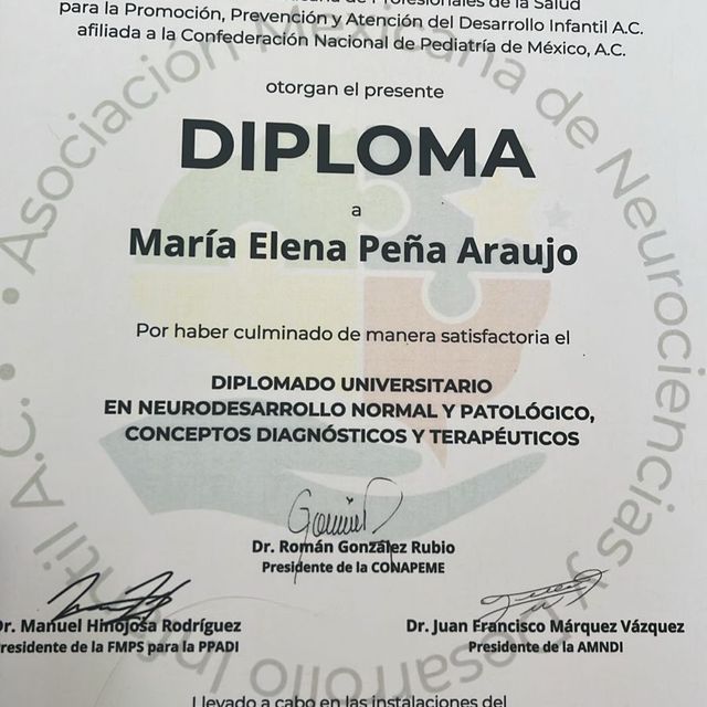 Ampliar imagen: certificate 5