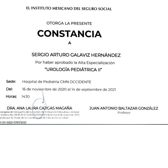 Ampliar imagen: certificate 4