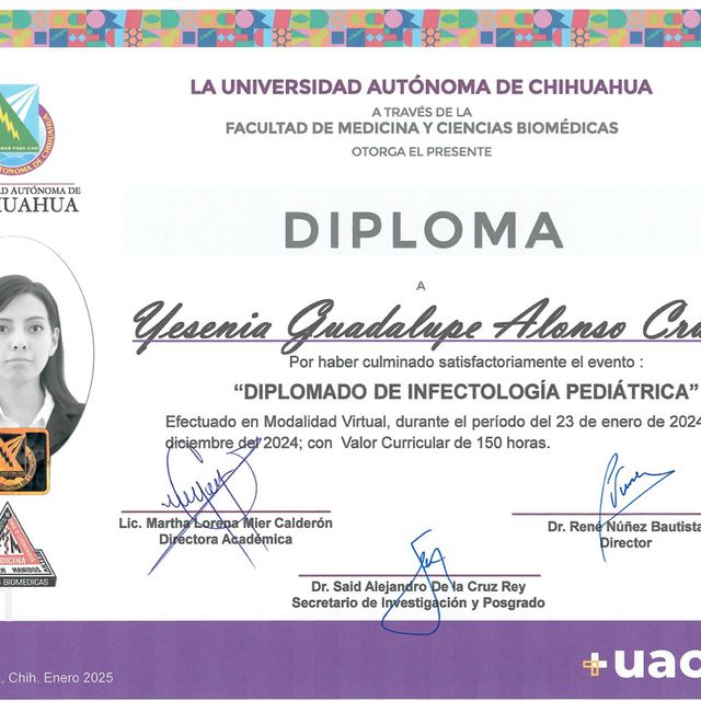 Ampliar imagen: certificate 4