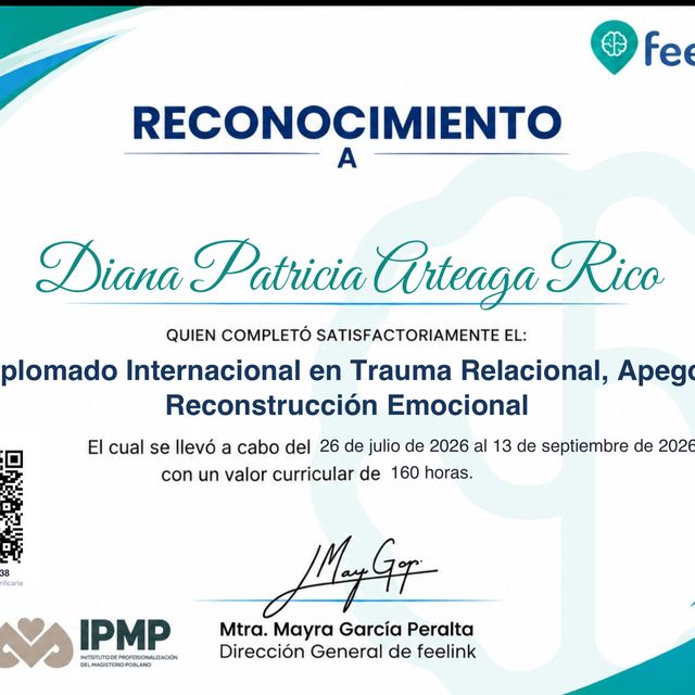 Ampliar imagen: certificate 11