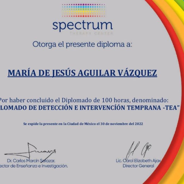 Ampliar imagen: certificate 8