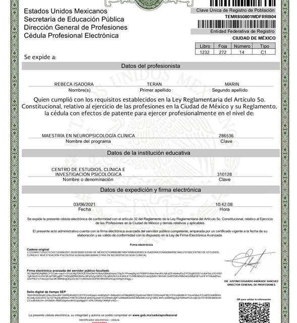 Ampliar imagen: certificate 5
