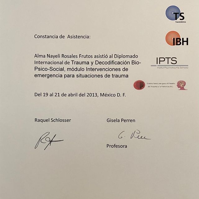 Ampliar imagen: certificate 6