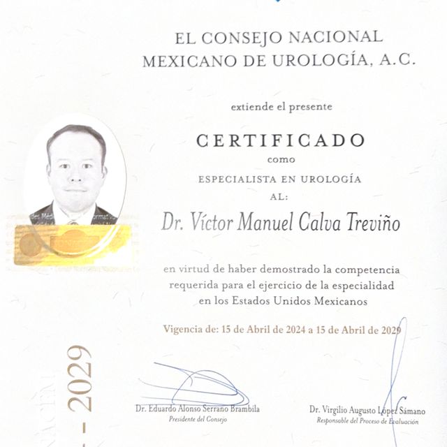 Ampliar imagen: certificate 3