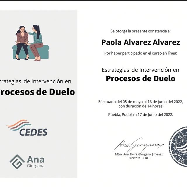 Ampliar imagen: certificate 8