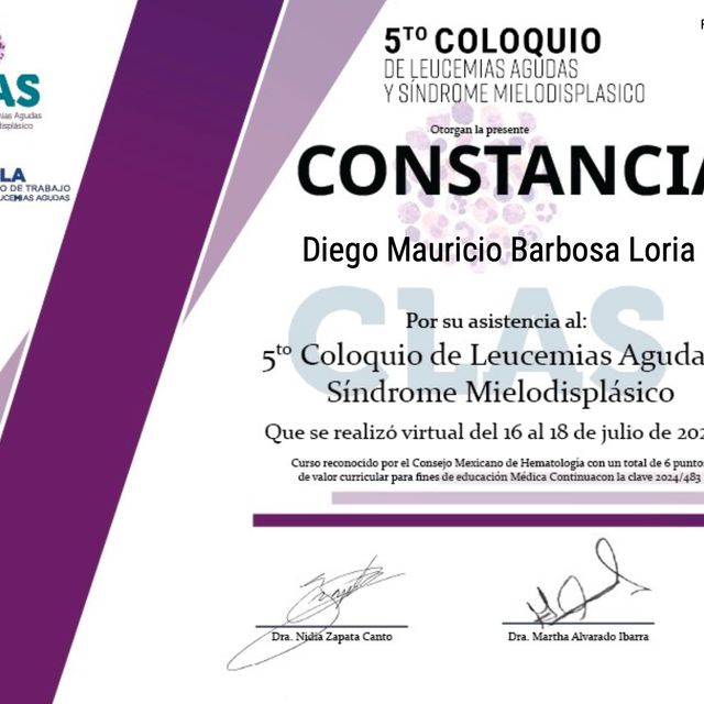 Ampliar imagen: certificate 8