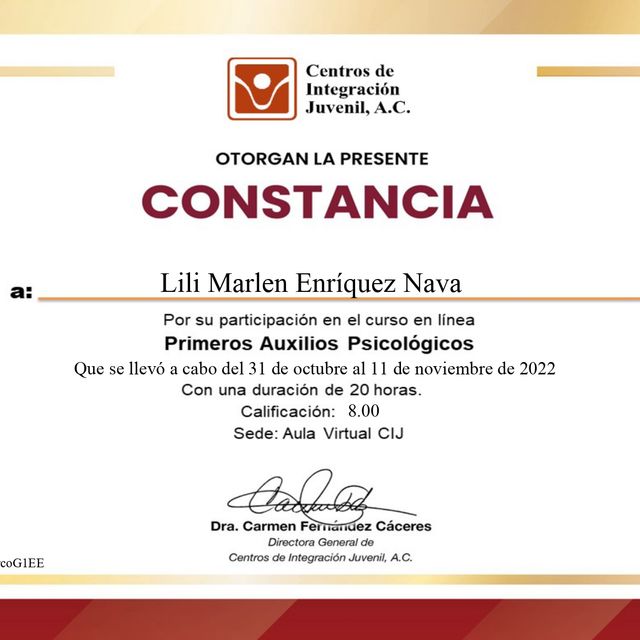 Ampliar imagen: certificate 8