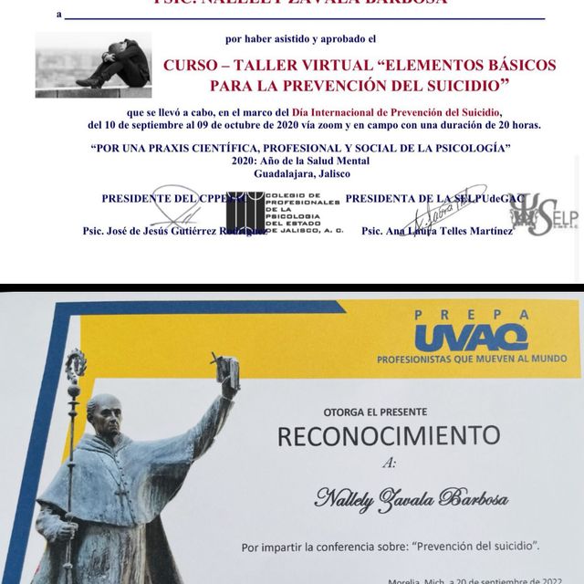 Ampliar imagen: certificate 4