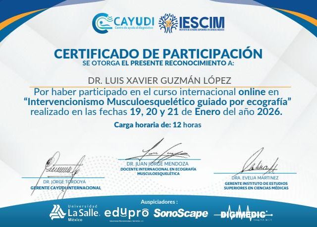 Ampliar imagen: certificate 3