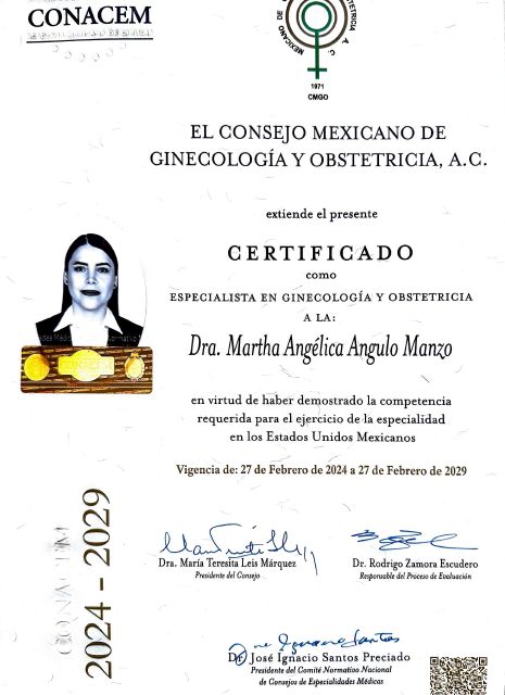 Ampliar imagen: certificate 1
