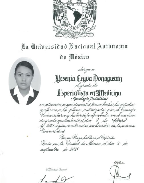 Ampliar imagen: certificate 2