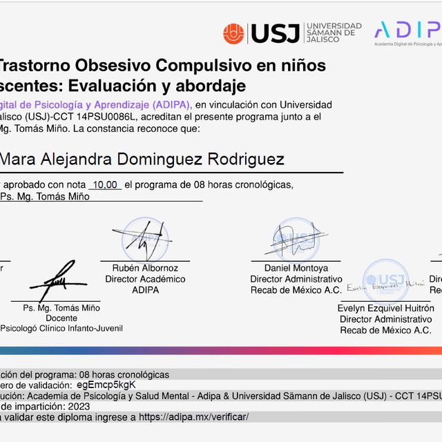 Ampliar imagen: certificate 34