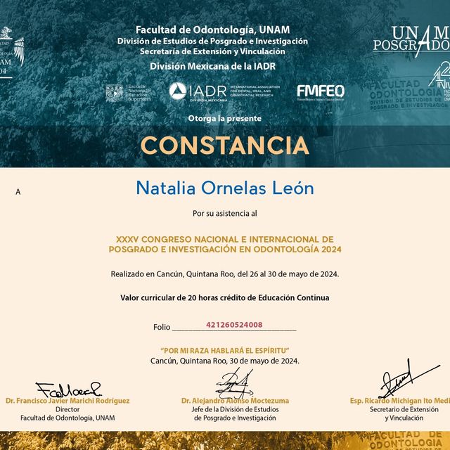 Ampliar imagen: certificate 6