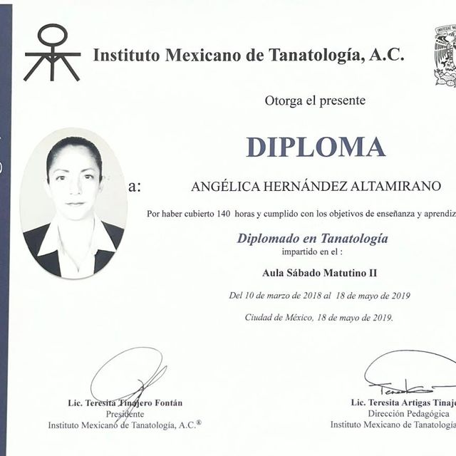 Ampliar imagen: certificate 7